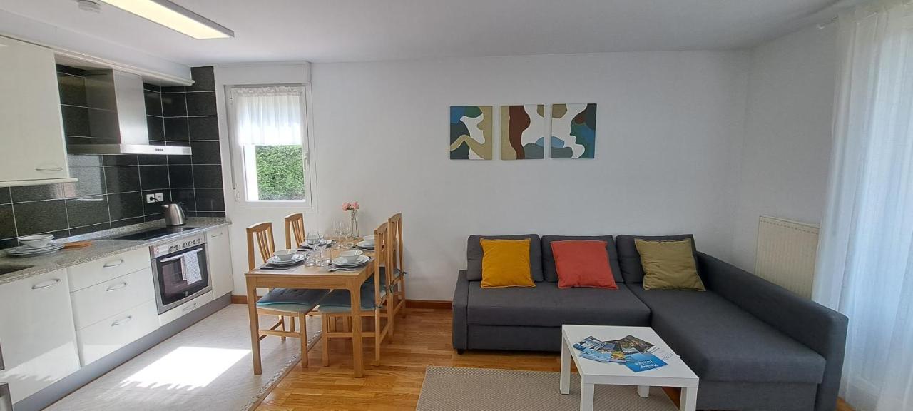Appartement Lumineux T3 Avec Jardin Privatif A Hendaye - Parking Et Wif Gratuit ภายนอก รูปภาพ